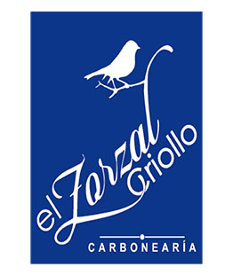 modelo-bolsas_0000_zorzal